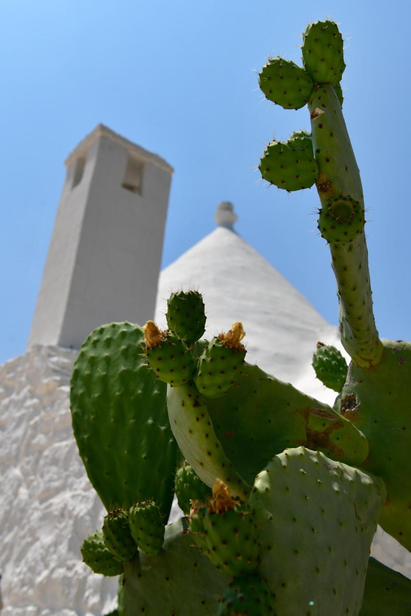 Il Trullo Bianco - Country House & Spa Castellana Grotte Exterior foto